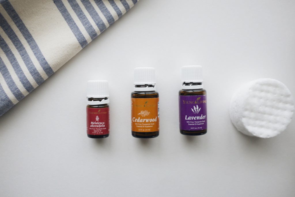 Cedarwood, Lavender & Tea Tree Oil Young Living Essential Oil Facial Toner | Elanaloo.com