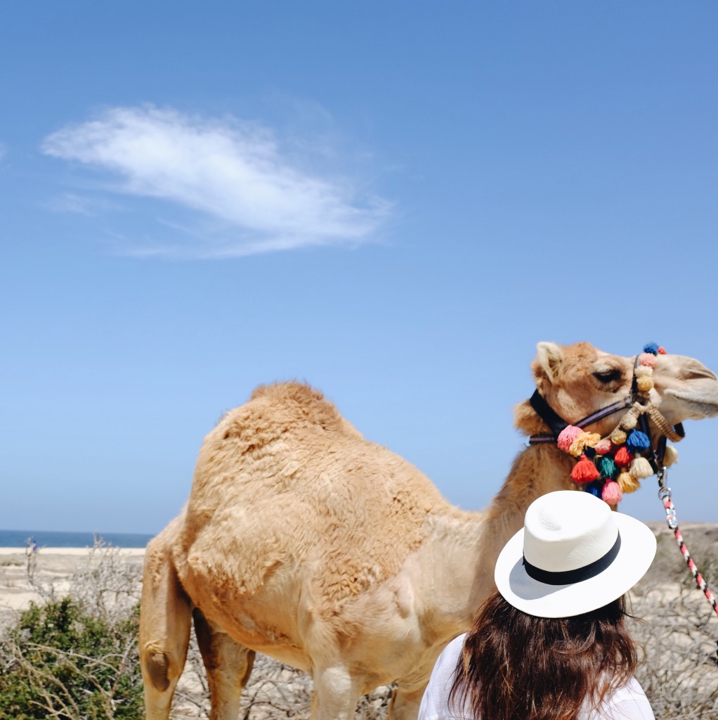 Riding camels in Cabo San Lucas, Mexico with Cabo Adventures - elanaloo.com