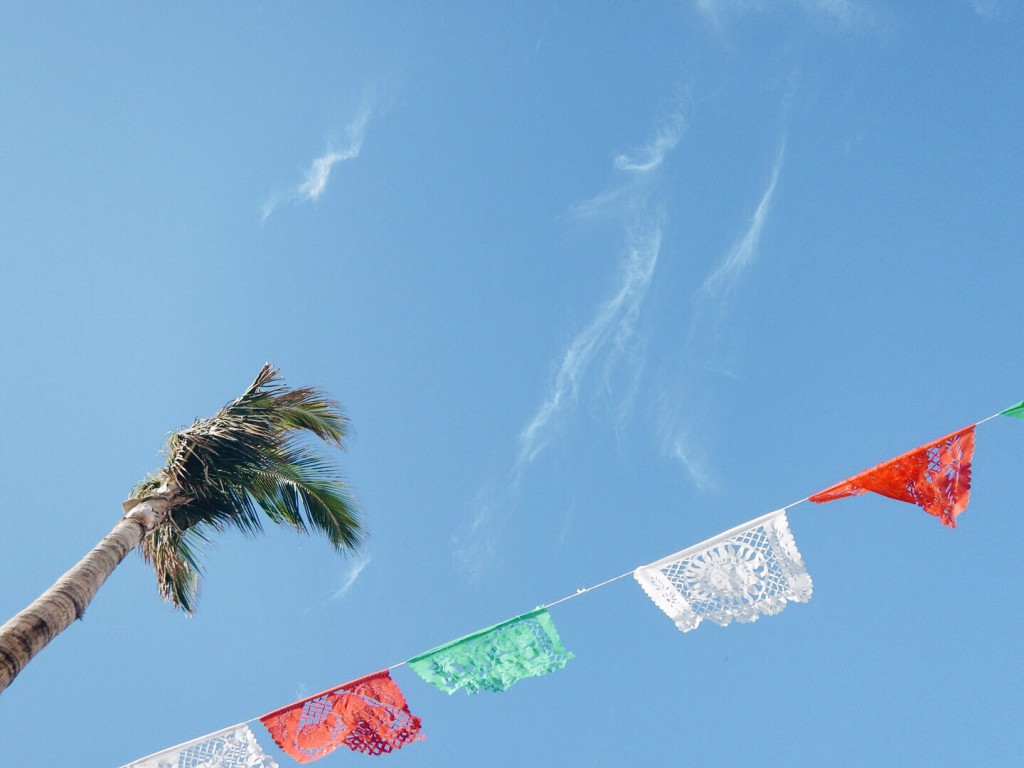 Mexican Fiesta at Playa Grande Solmar Resorts - elanaloo.com