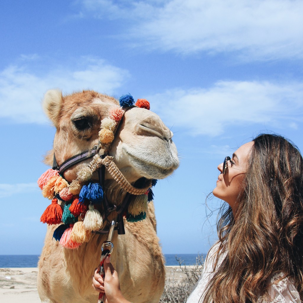 Camel Safari with Cabo Adventures in Cabo San Lucas, Mexico - elanaloo.com