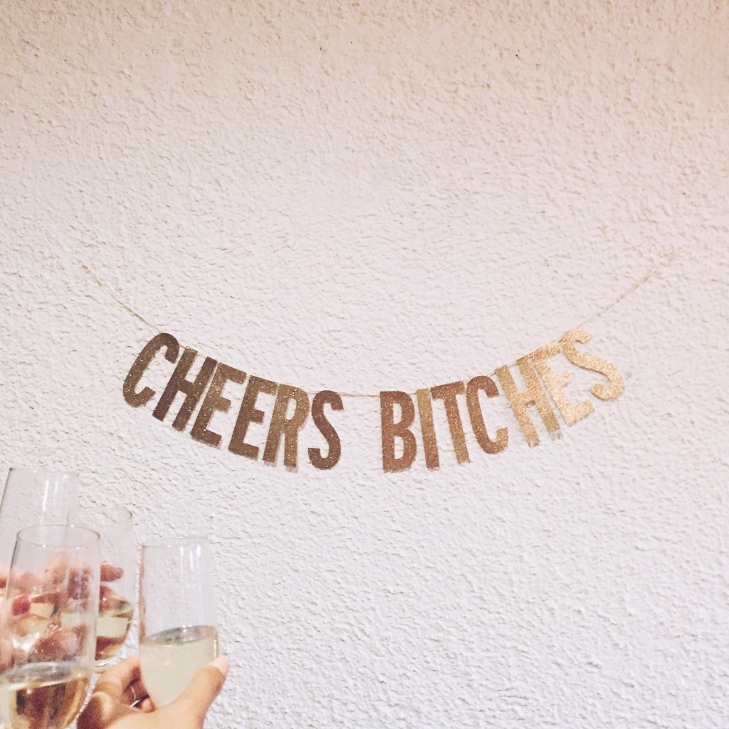 Cheers Bitches Banner for Bachelorette Party - elanaloo.com
