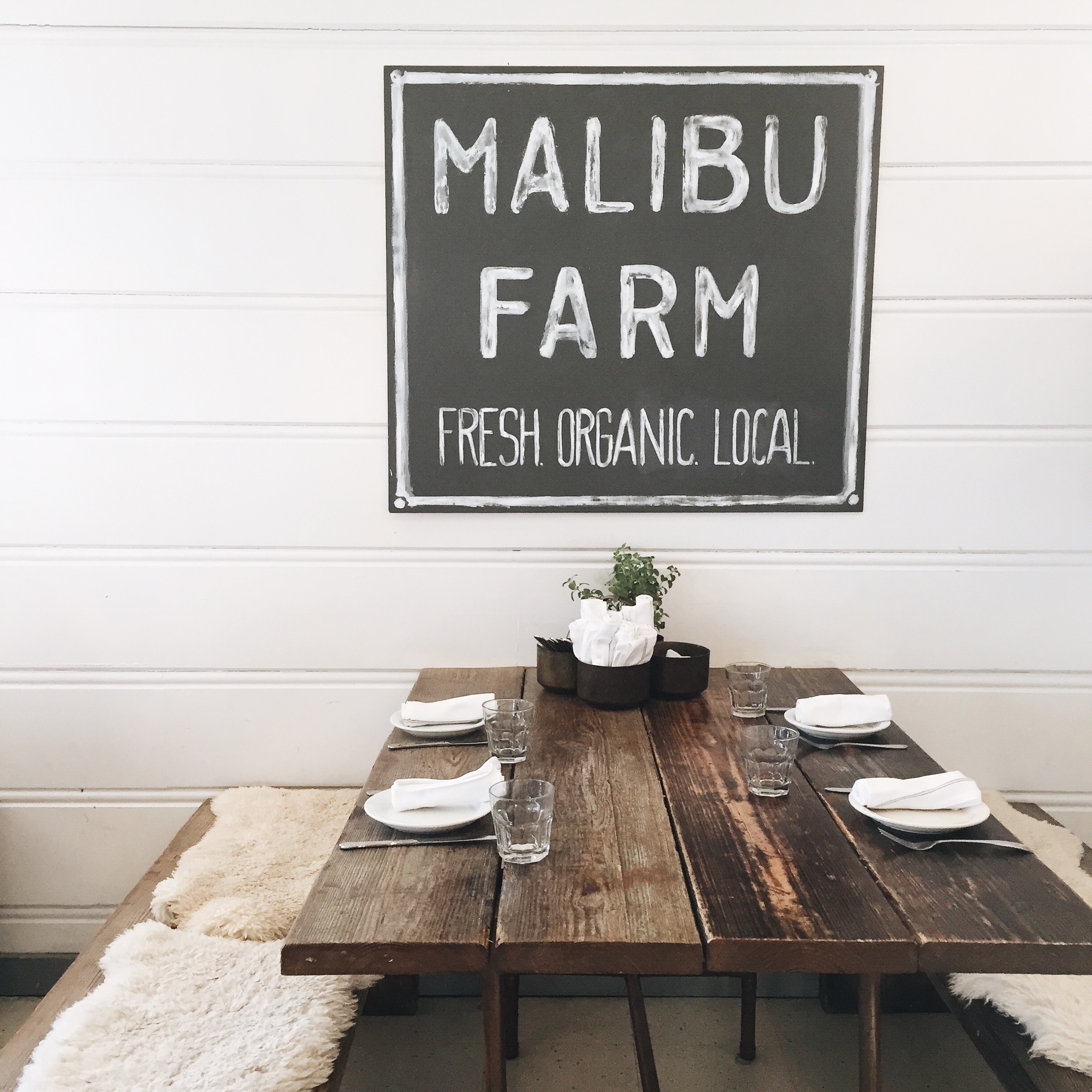 Malibu Farm in Malibu, CA - elanaloo.com