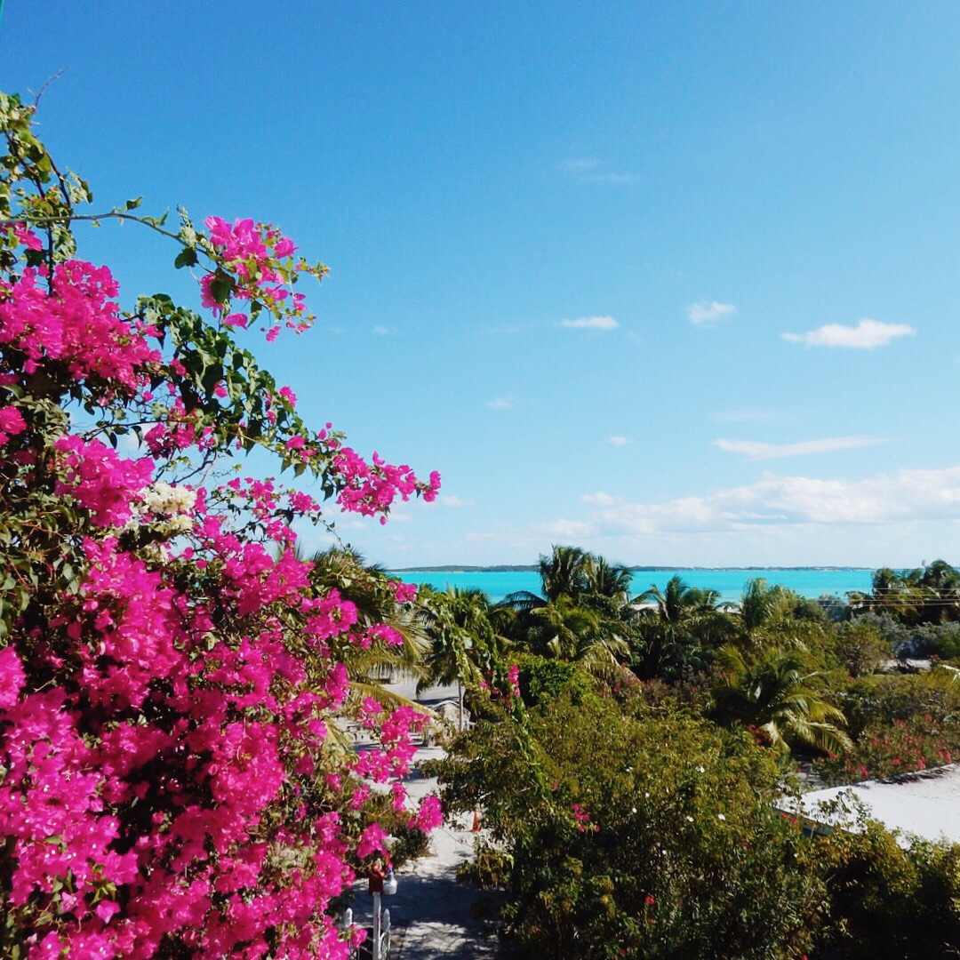 View From Hideaways At Palm Bay | Traveling to The Exumas, Bahamas | Guide to Exumas, Bahamas | elanaloo.com