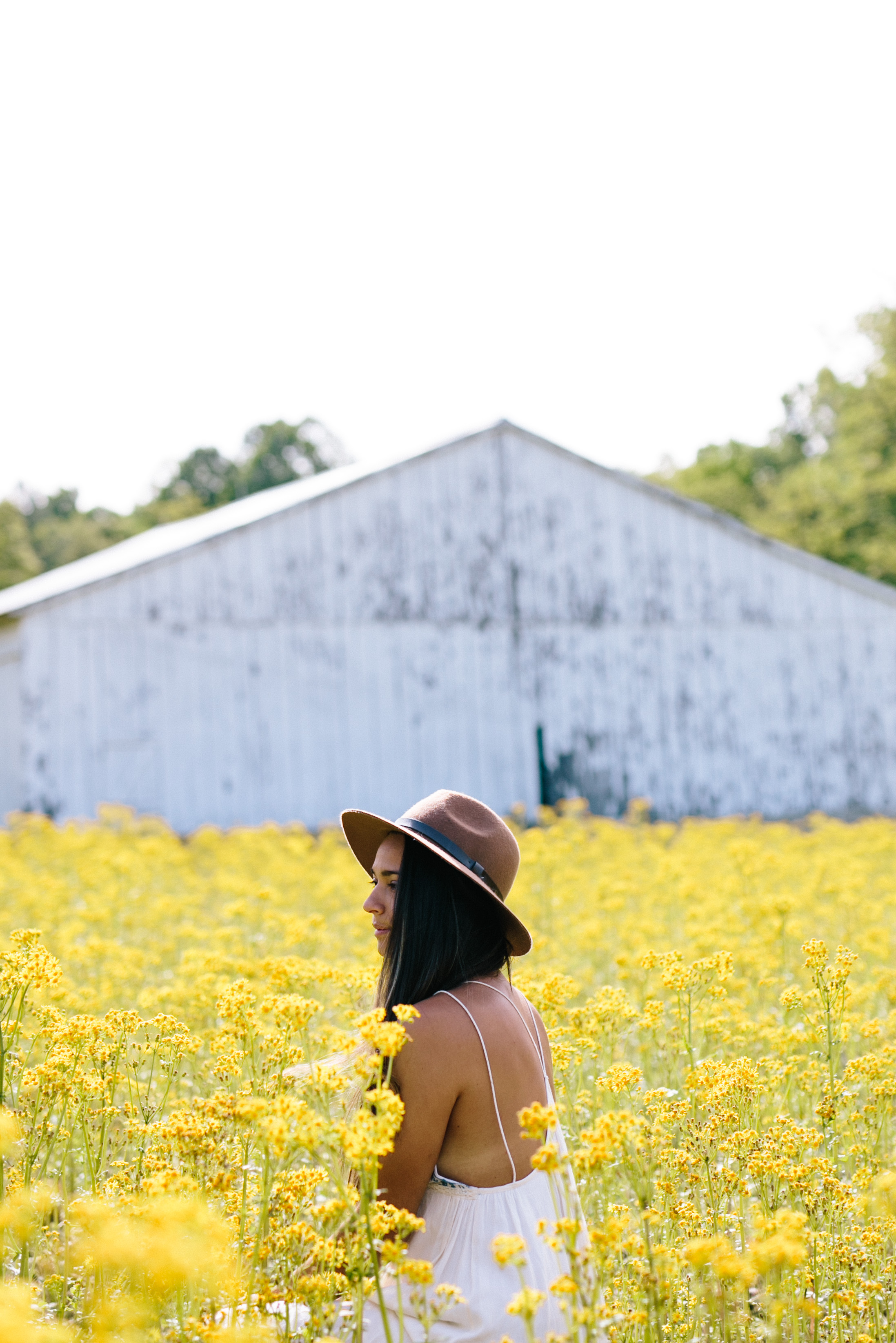 Yellow Flower Field | Free People Inspired | Country Boho | Country Photo Inspiration | via elanaloo.com