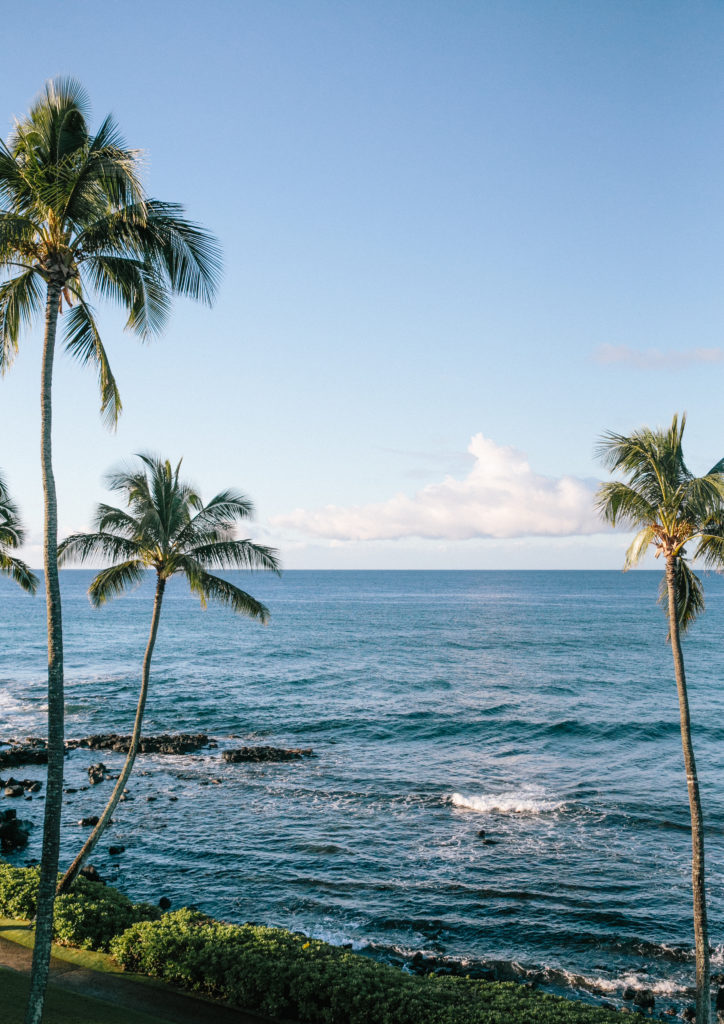 The Ulimate Travel Guide To Kauai, Hawai'i – ElanaLoo