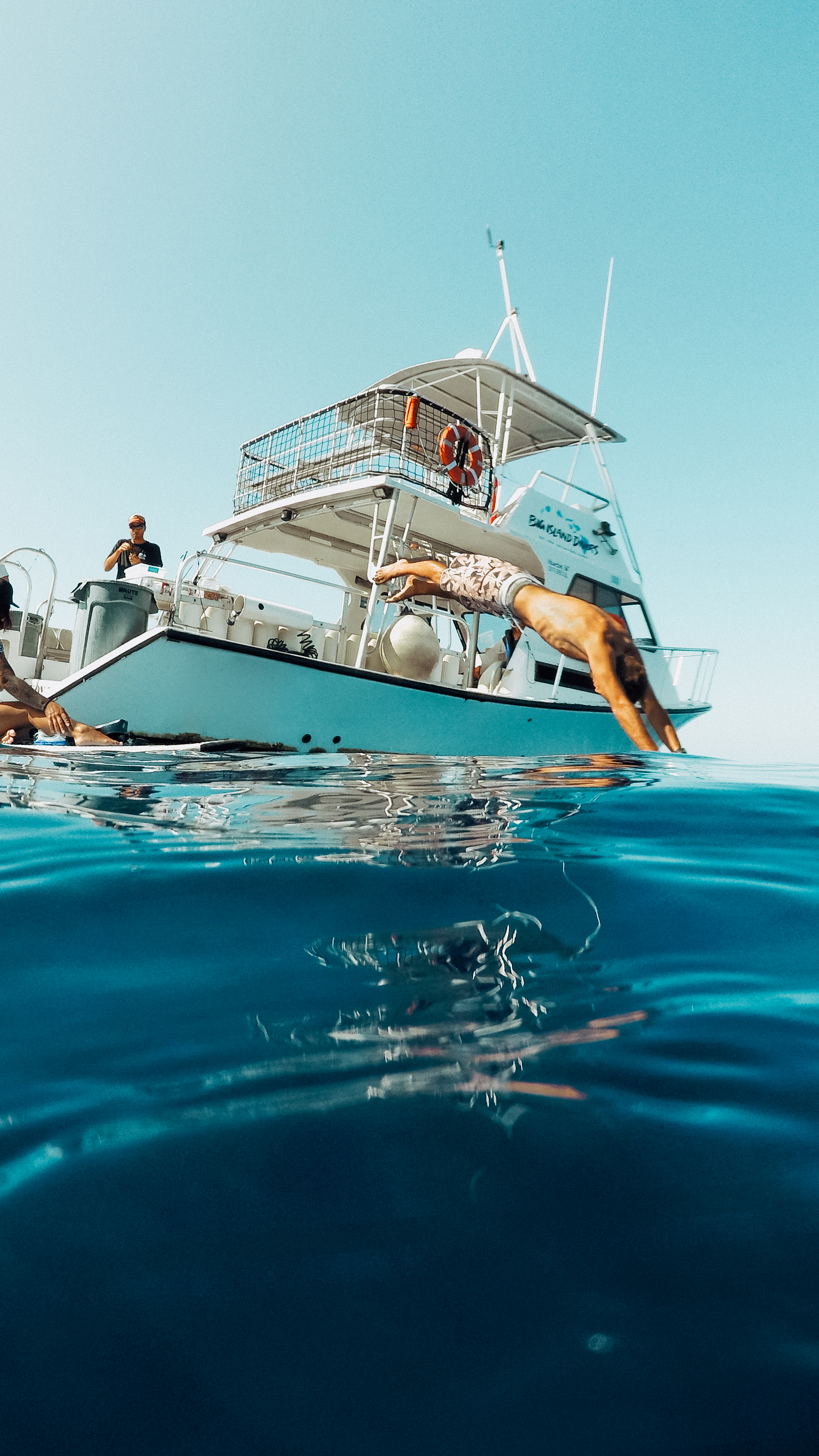 Underwater Photography by Aaron Haynes | Travel Blogger | Exploring the Big Island of Hawai'i | Experiential Blogger ElanaLoo | Experiencing 2018 | Hawaii Living | First Chapter of 2018 via @elanaloo + elanaloo.com