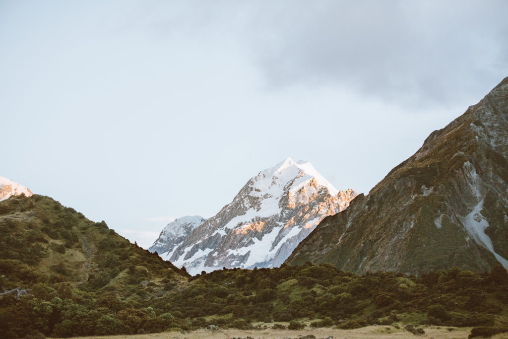 New Zealand Travel Guide | Grassy landscape leading to a snowy grey 
majestic mountain, taken by traveler at Aoraki Mount Cook National Park.
