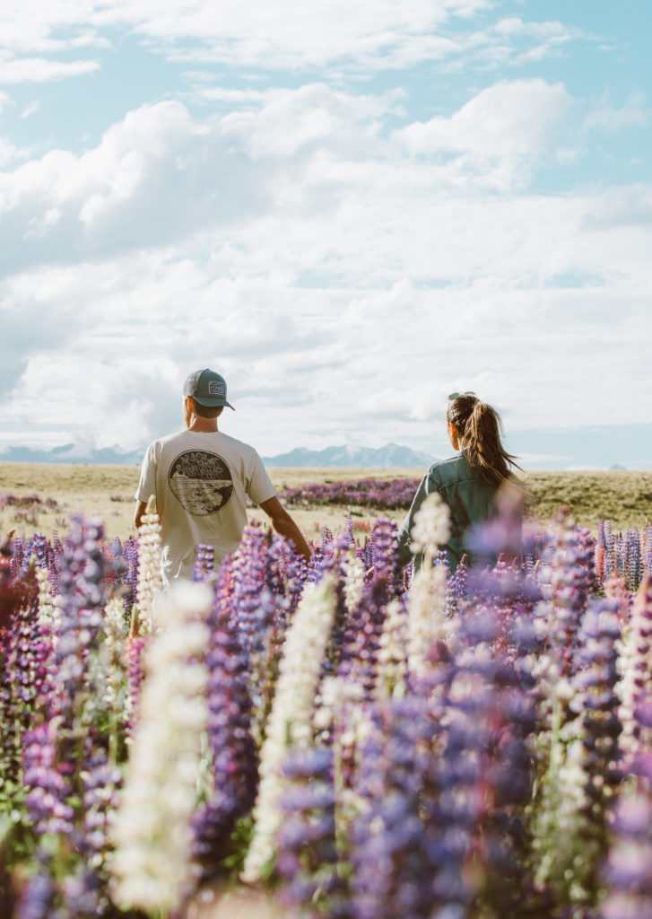 New Zealand Travel Guide | Couple exploring the lupin fields in New Zealand during the spring