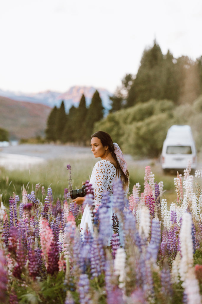 New Zealand Travel Guide | Lupins in bloom at Lake Tekapo, New Zealand. 