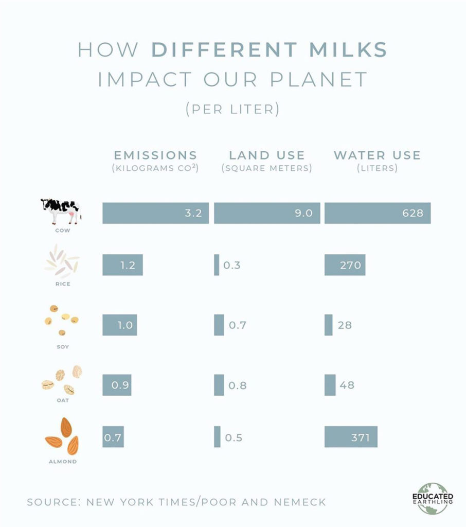 How To Make Plant-Based Milk At Home via elanaloo.com